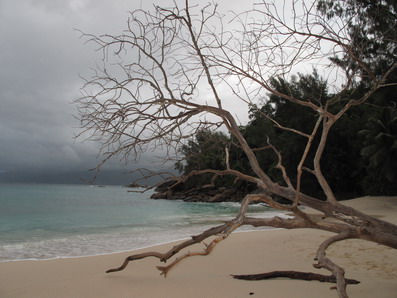 ASBeach.jpg