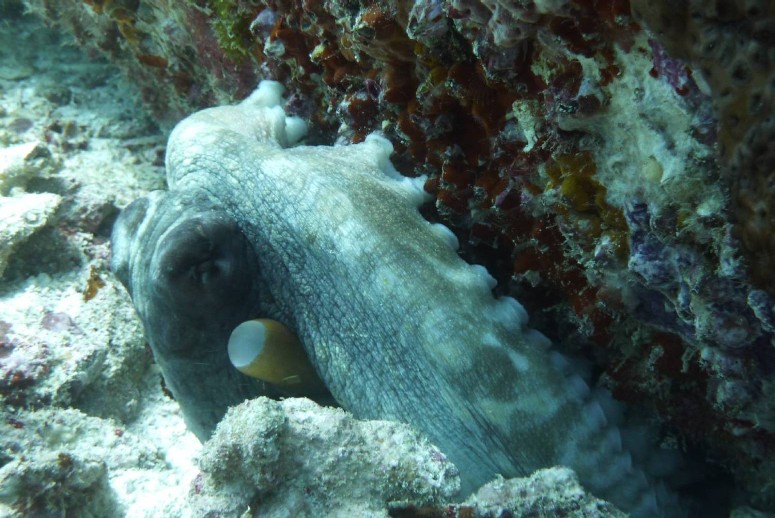 P1010472sm.JPG
