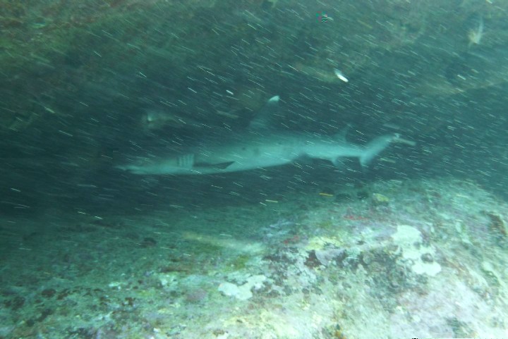 P1010488sm.JPG