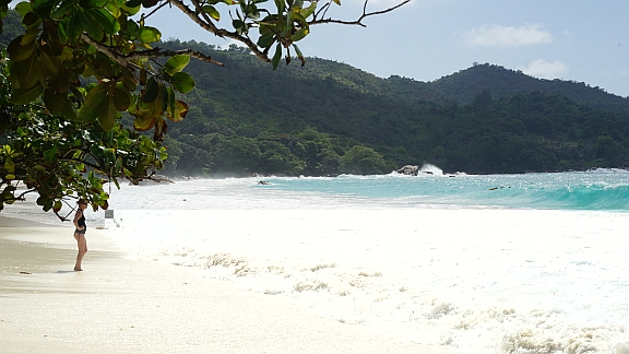 DSC08229.jpg